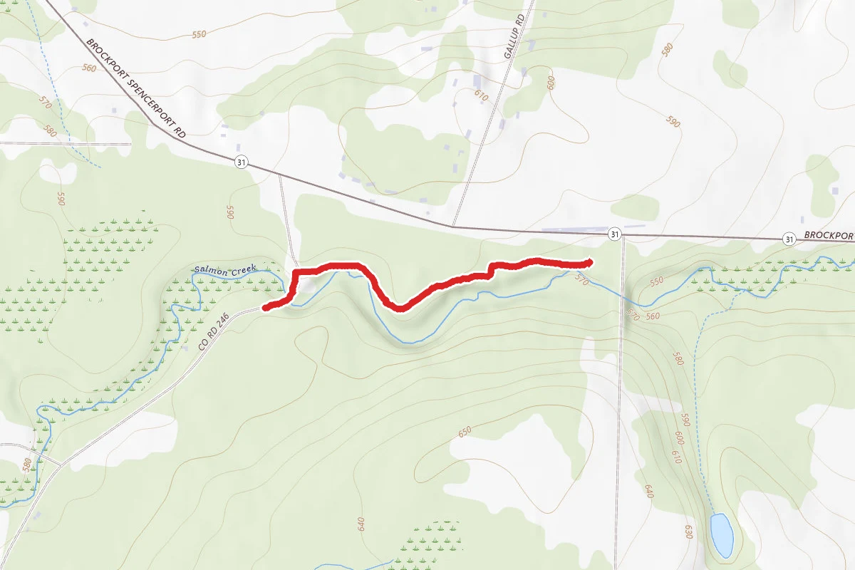 Northampton Fairview Trail
