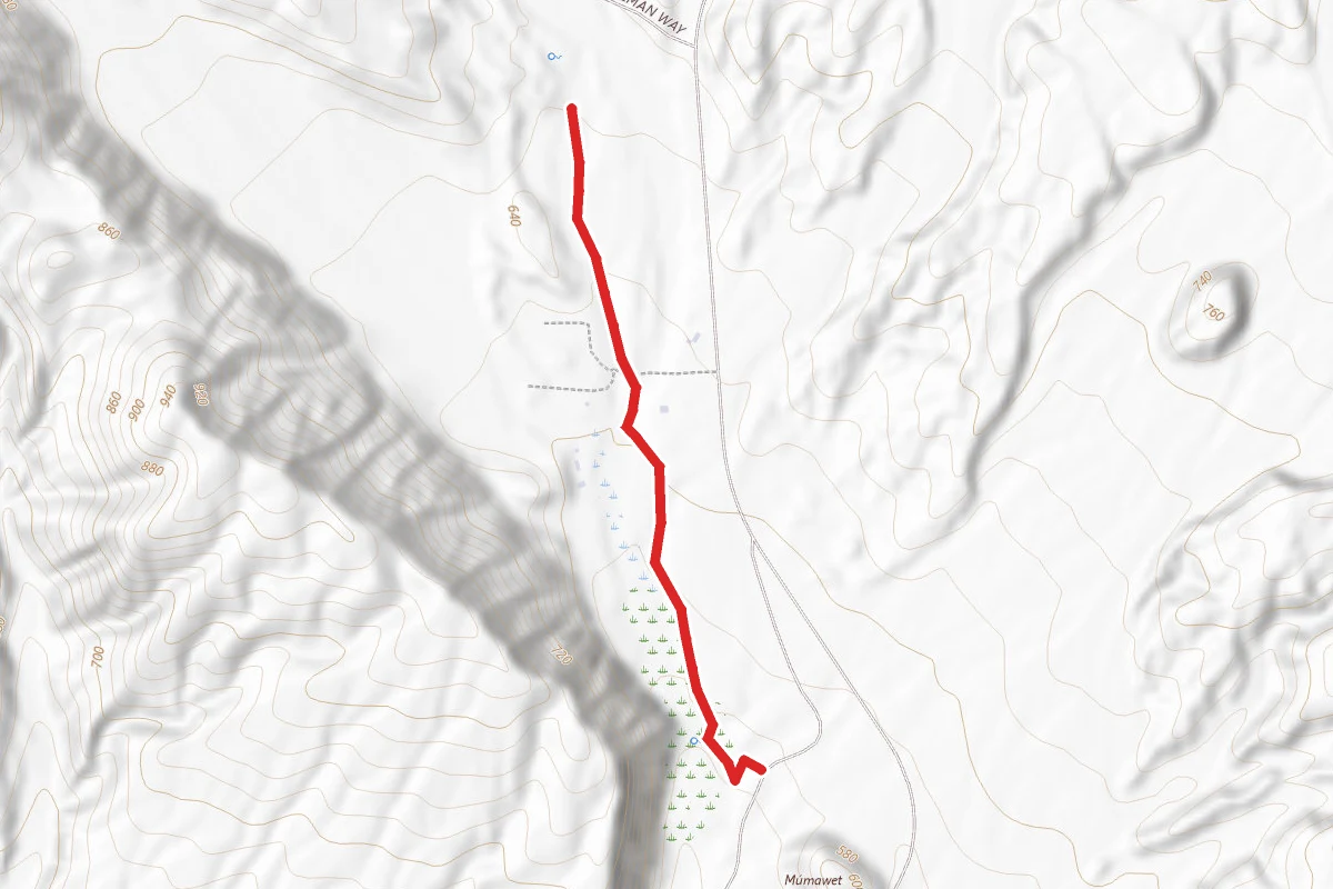 McCallum Trail