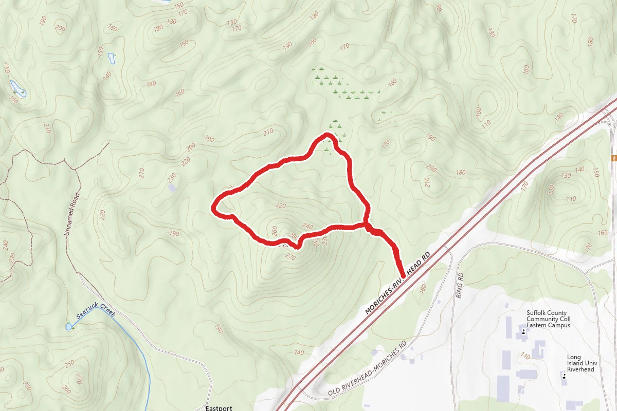 Bald Hill Loop (Short Option)