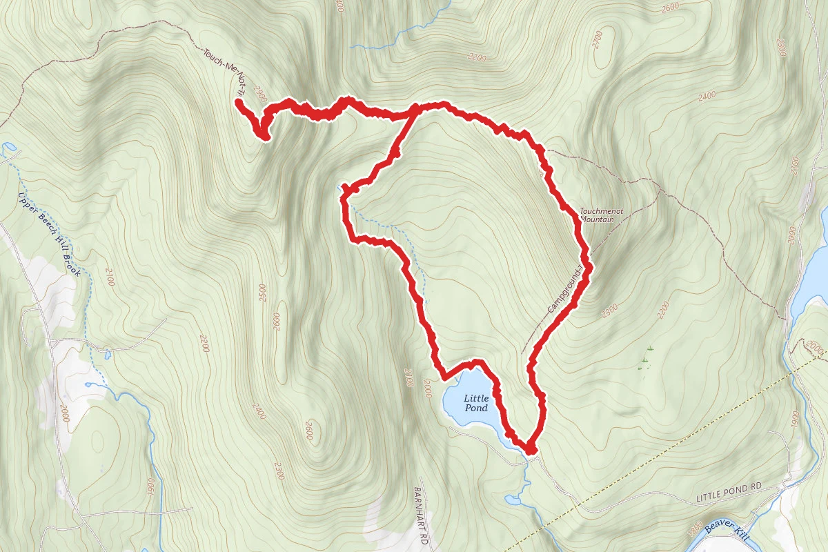 Little Pond, Beaverkill Overlook, Cabot Mountain Loop