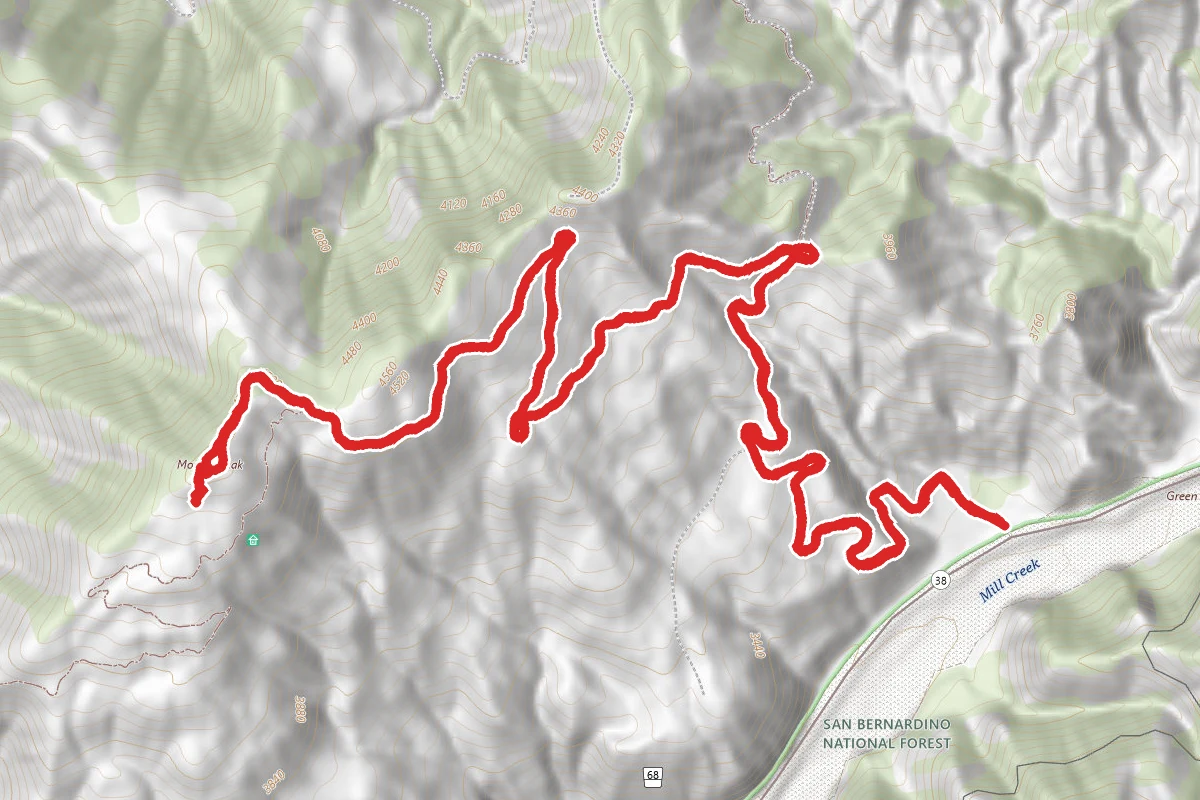 Morton Ridge Trail