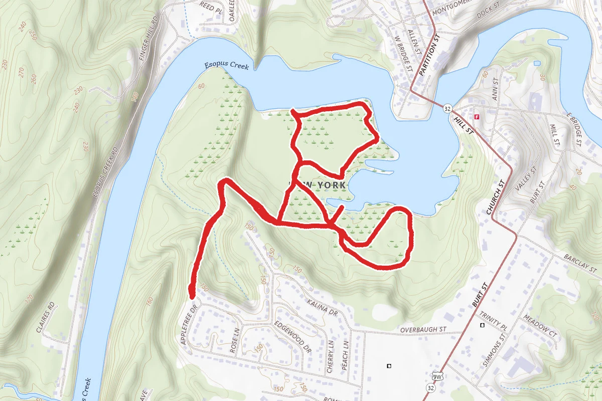 Wetlands and Meadow Trail Loop
