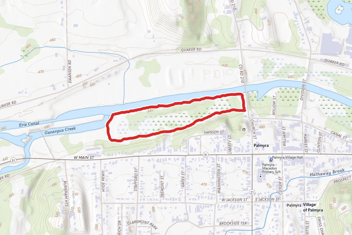 Palmyra Wetland Nature Trail