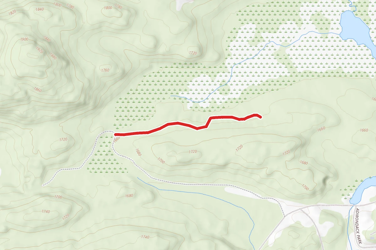 Skidder Trail (Orange)