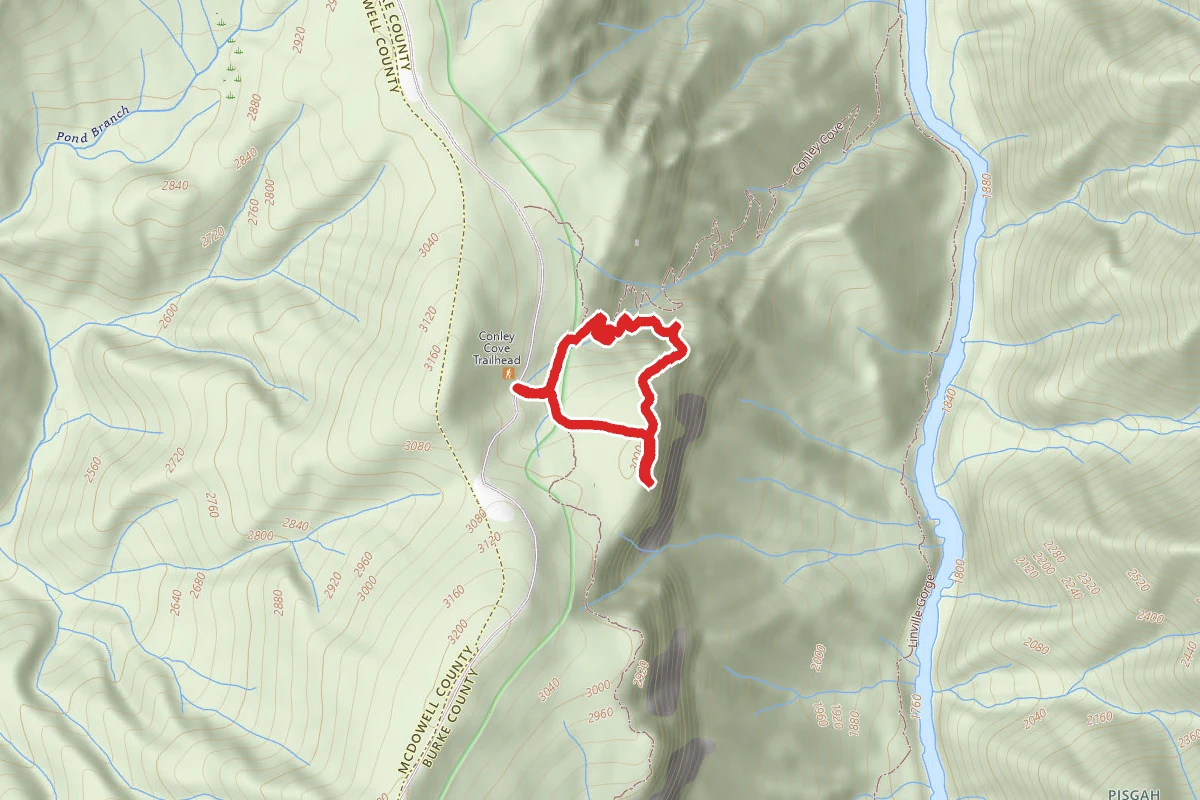 Portaus Point