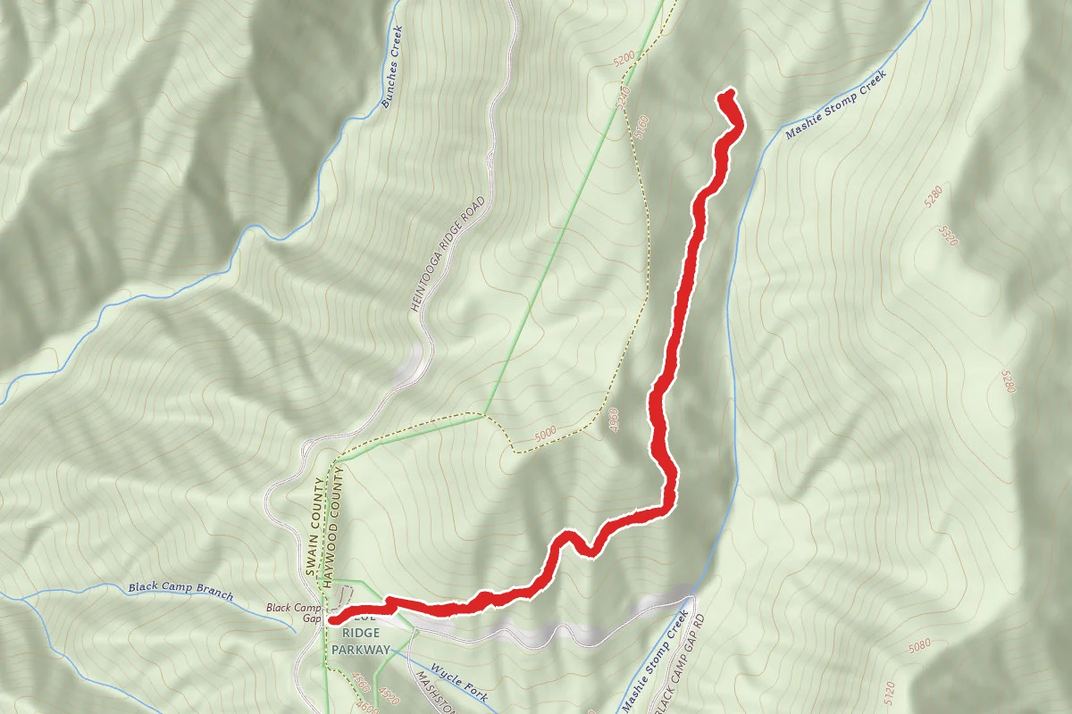 Black Balsam Gap