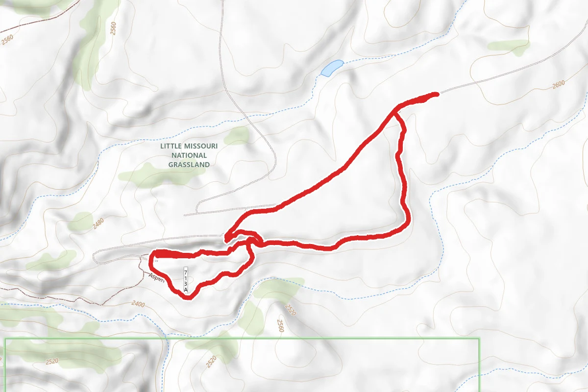 Ice Cave Loop