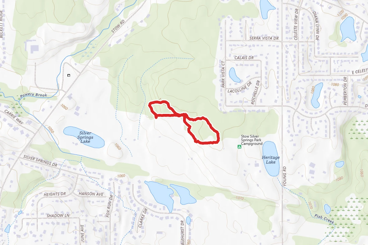 Silver Springs Yellow Trail
