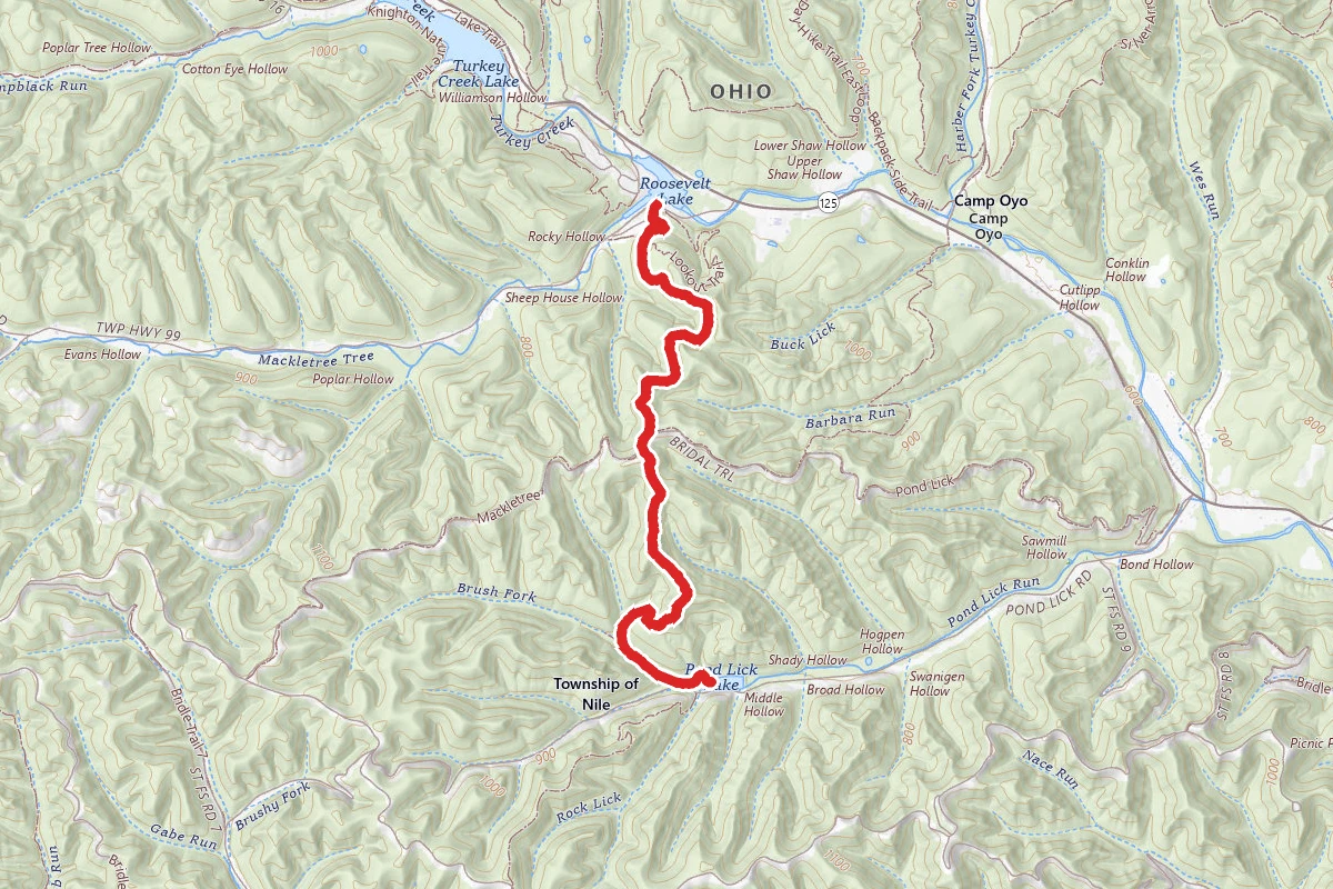 Mackletree Bridle to Pond Lick Lake