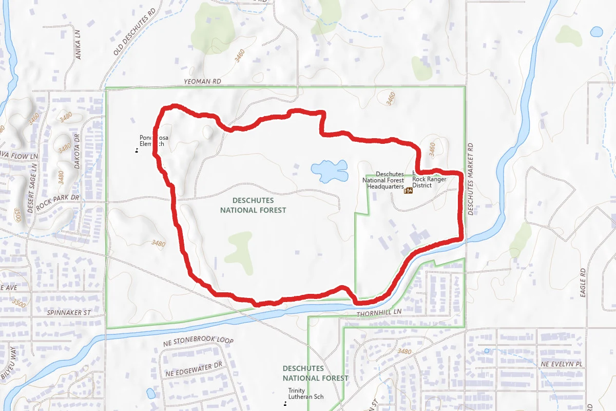 Pine Nursery Park Unpaved Loop