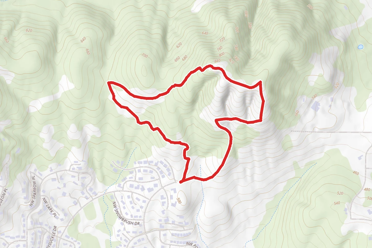 Quircus Meadow Trail and Chip Ross Loop Trail