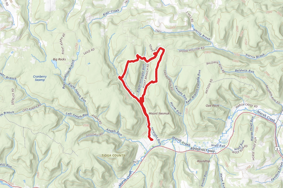 Stone Trail Loop