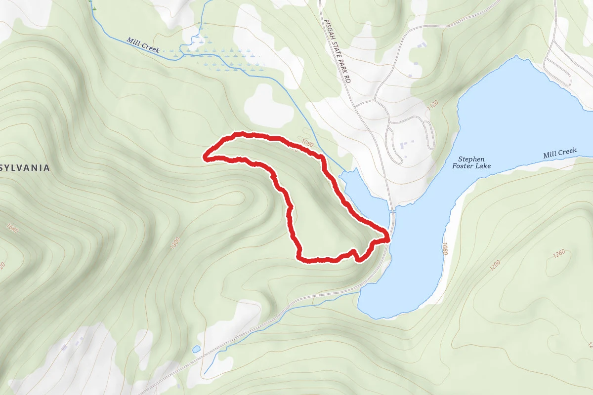 Mill Stream Trail
