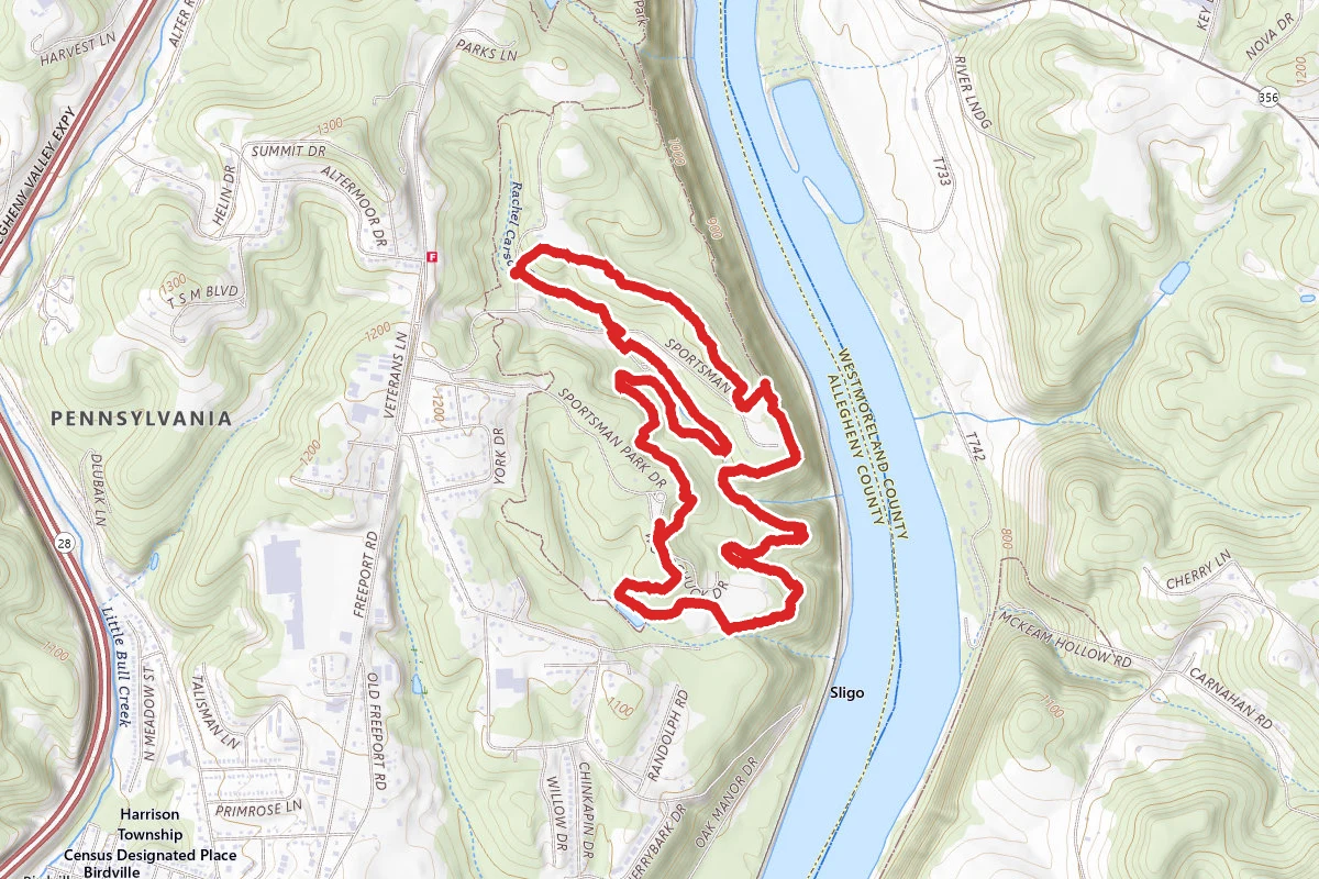 Woodlands, Wetlands, and Scouts Loop