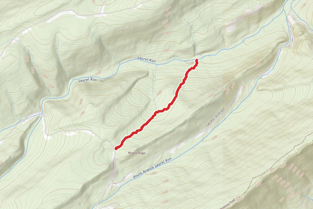 Turbett Trail