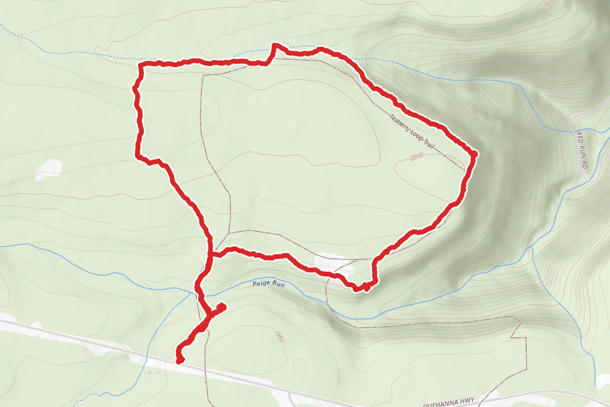Teaberry Loop