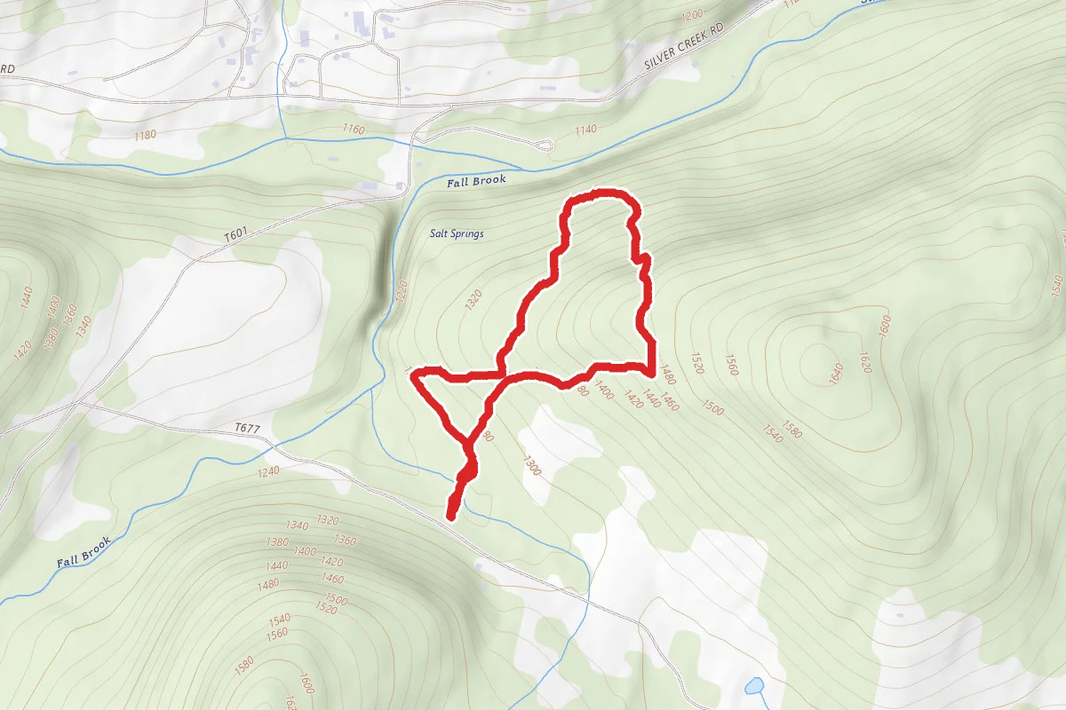 Hardwood and Upland Trails Loop