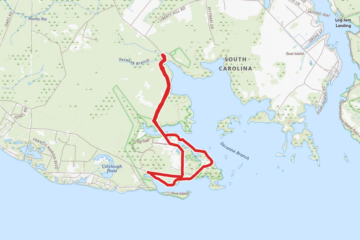 Santee NWR Pine Island Loop