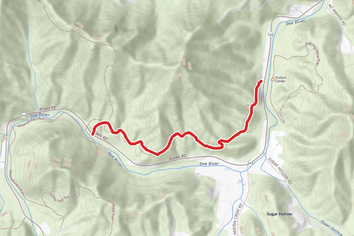 Forest Road Trail (Cates Hole)