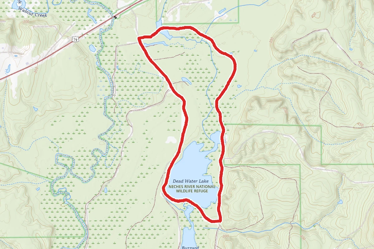 Dead Water Lake Trail