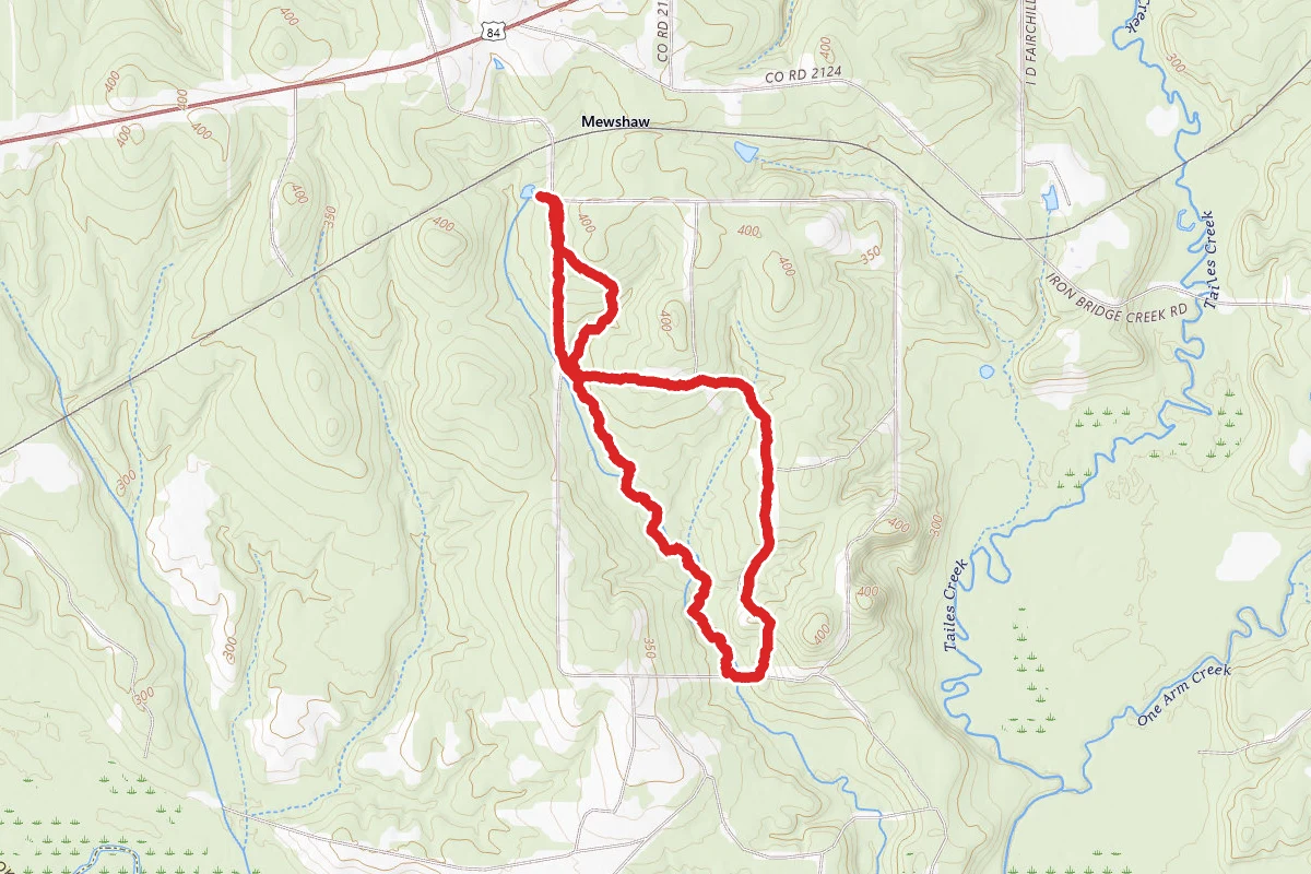 I.D. Fairchild State Park- South Half Loop Trail
