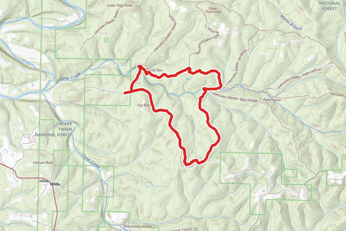 Coy Bald Trail