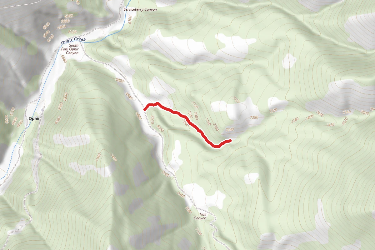 Ophir Canyon Campground Trail