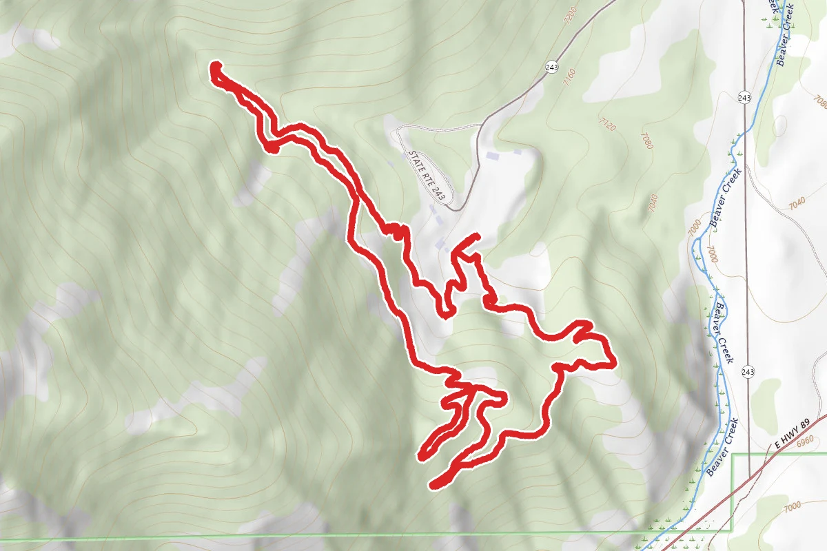 Beaver Mountain Loop