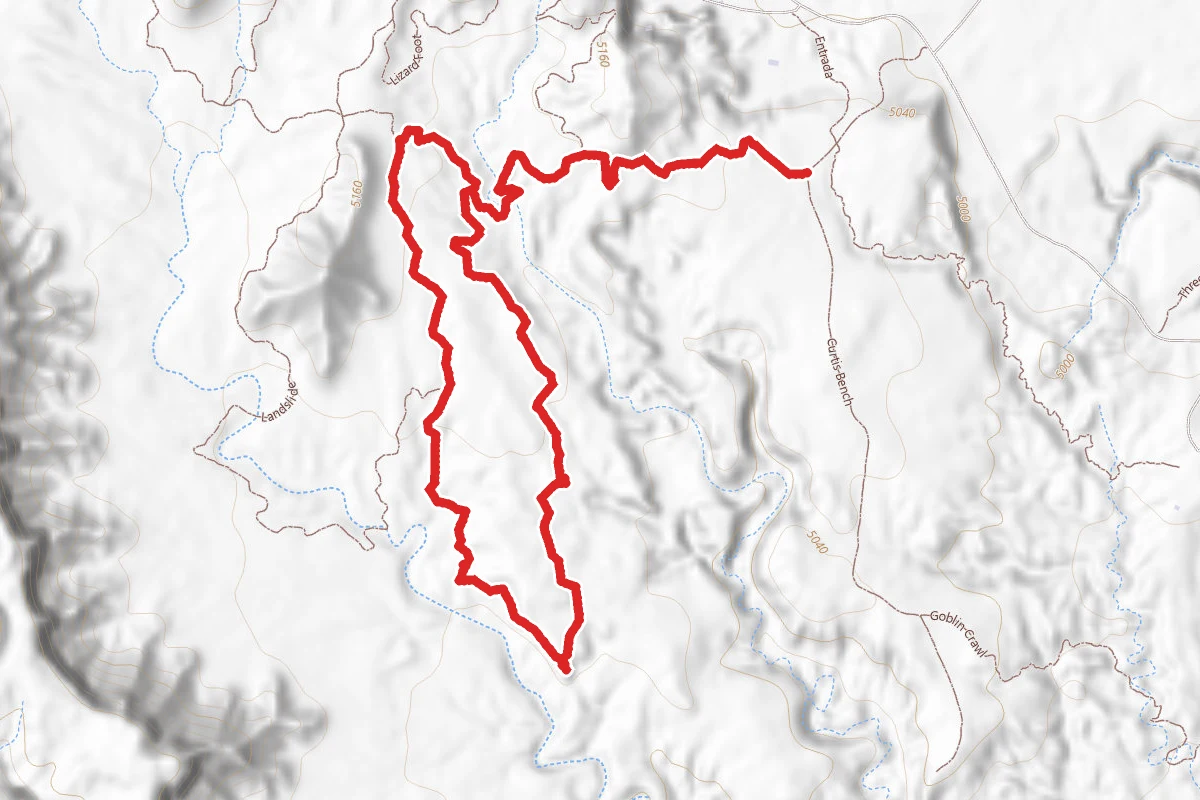Buffalo Head Trail Loop