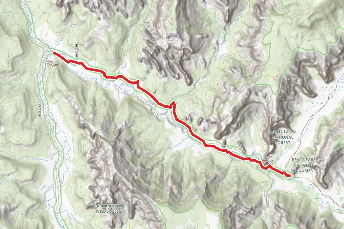 Horse Pasture Trail to Scorup Cabin