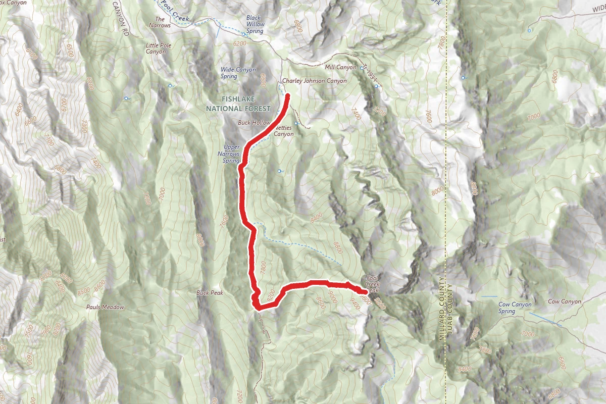 Fool Creek Peak Trail