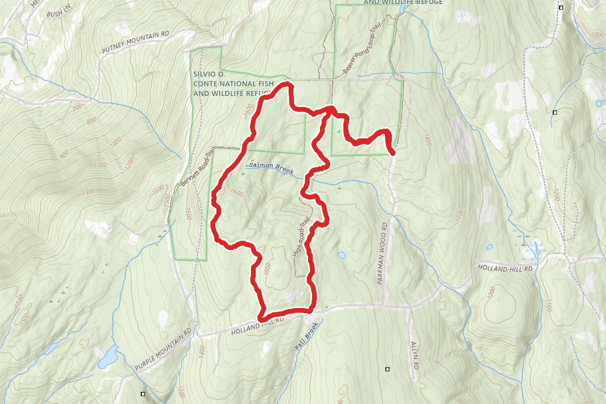 Hannum Hill, Dine Trailhead, and Parkman Wood Road Trailhead Loop