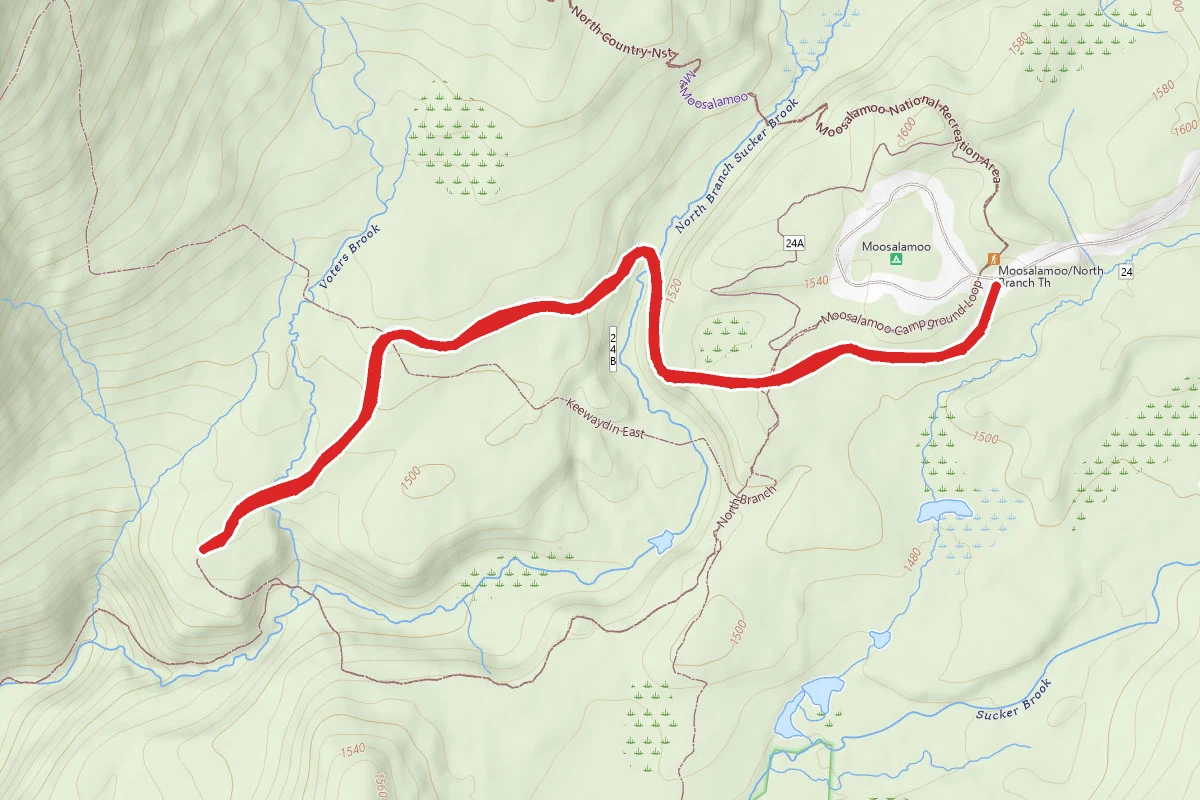 North Branch Trail to Voter's Brook Overlook