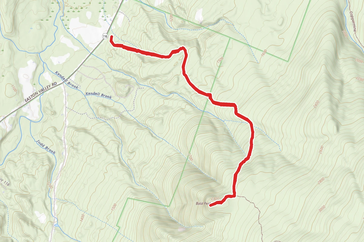Mount Kinsman Trail to Bald Peak