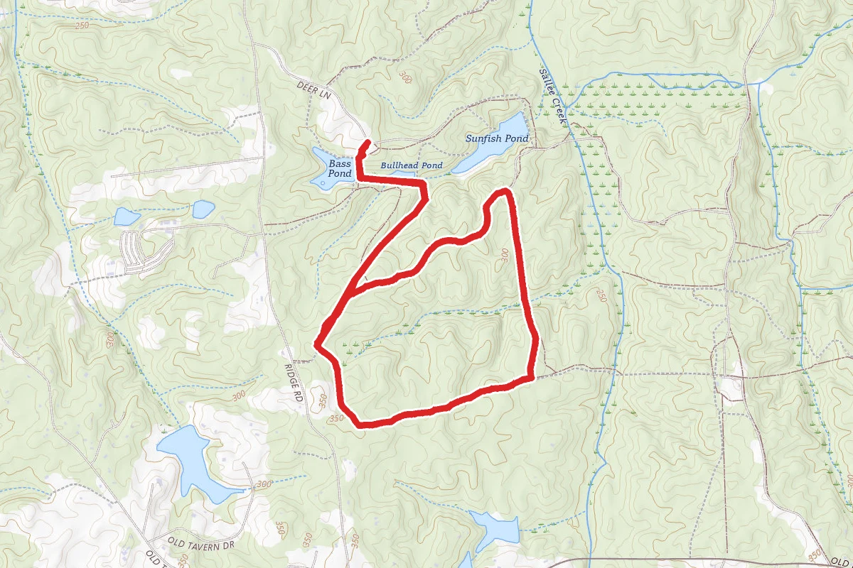 Powhatan Short Loop From Bullhead Pond