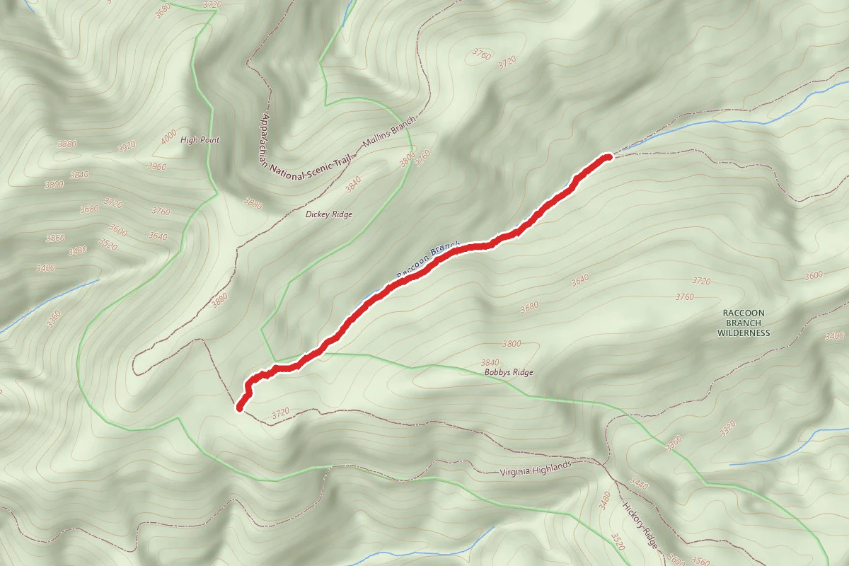 Bobby's Trail