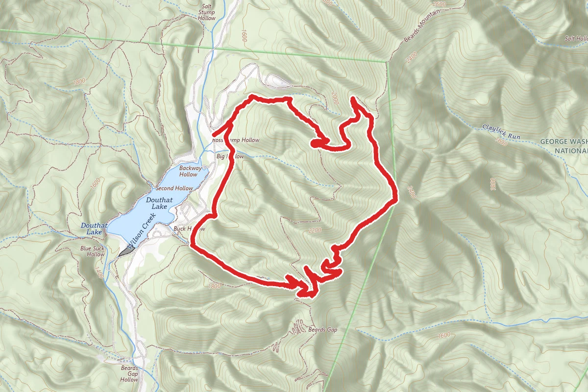 Ross Camp Trail, Mountain Top Trail, and Wilson Creek Trail Loop