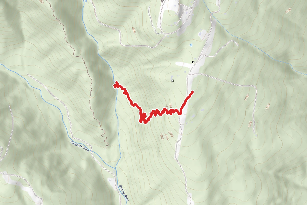 Quercus Trail