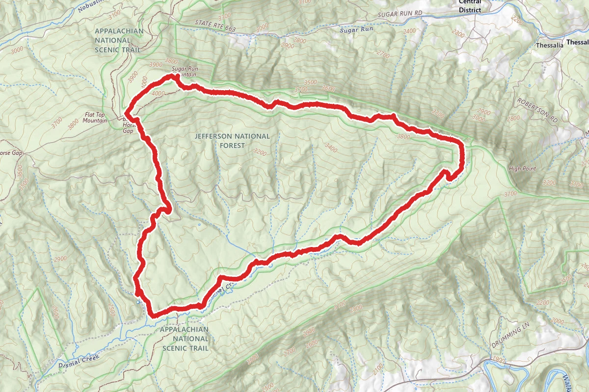 Dismal Creek and Sugar Run Mountain via Appalachian Trail and Ribble Trail