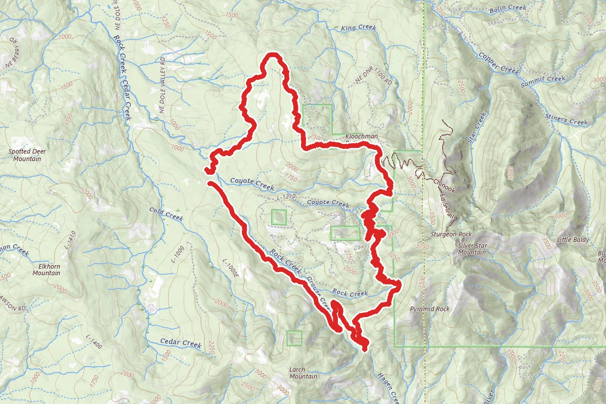 Larch Mountain Loop Trail