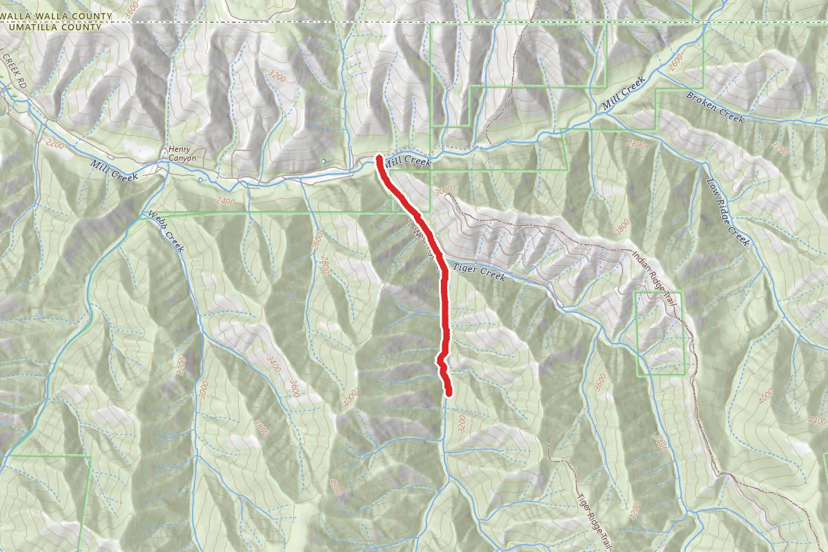 West Tiger Creek Trail