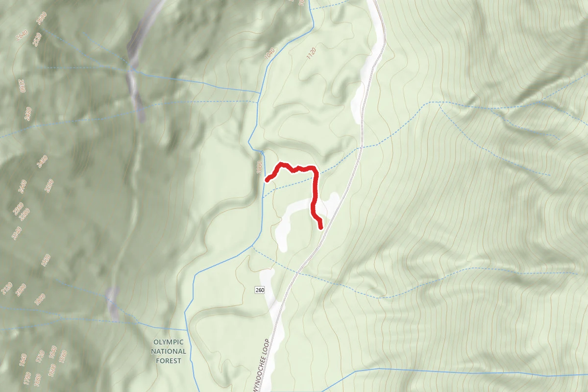 Wynoochee Falls Trail