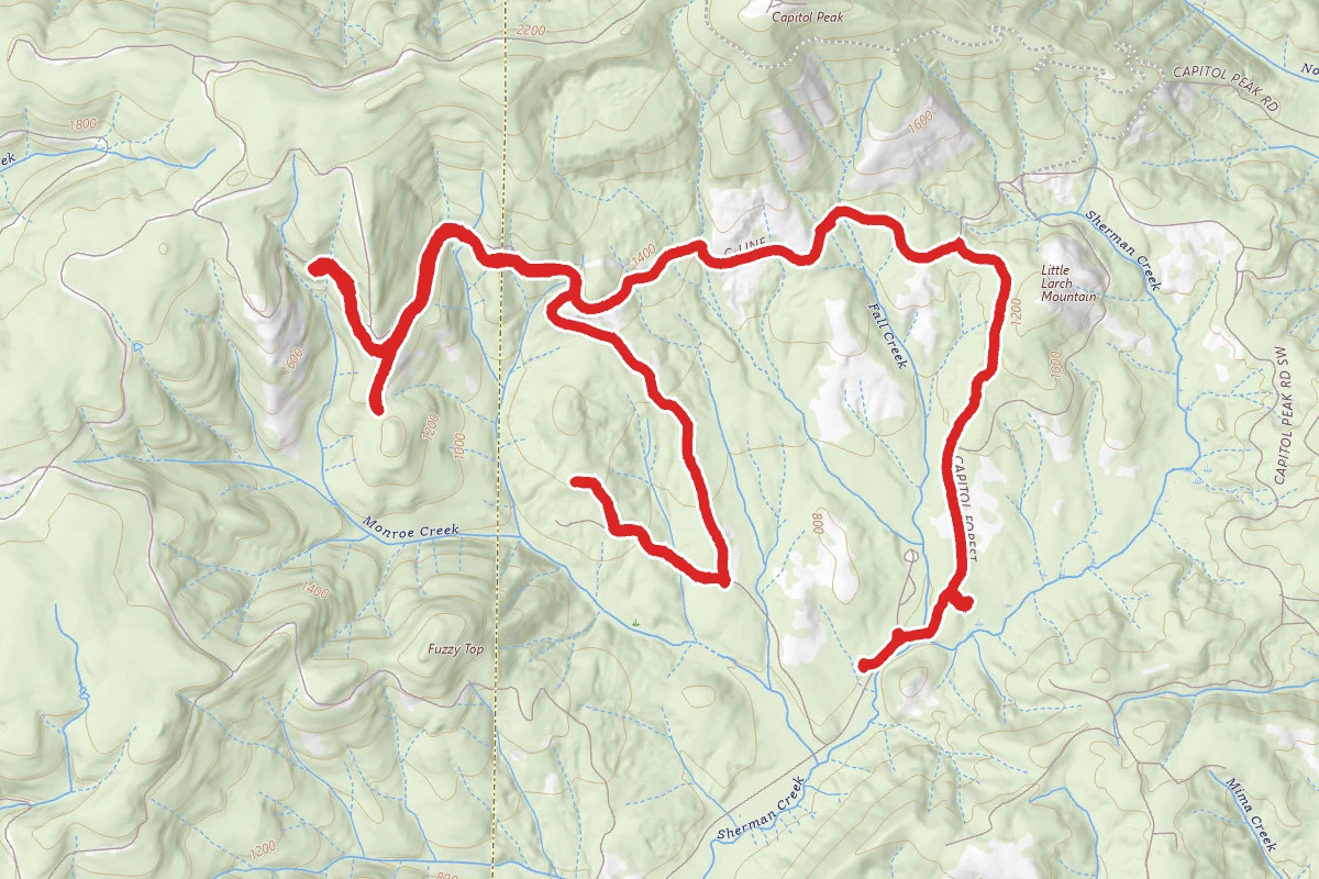 Capital Forest OHV Trail