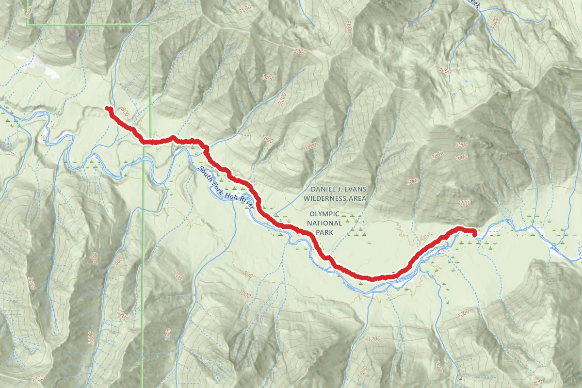 South Fork Hoh Trail