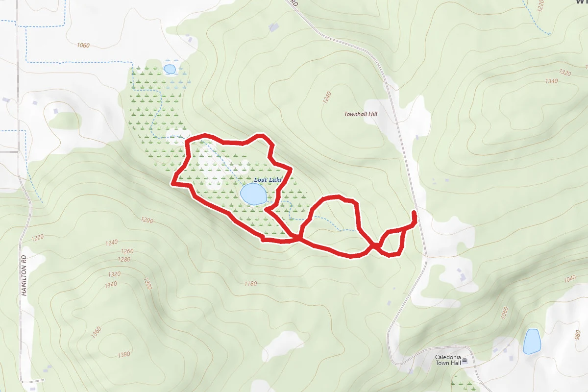 Lost Lake Trail Loop