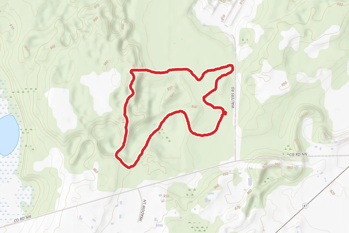 McMiller Orange Loop