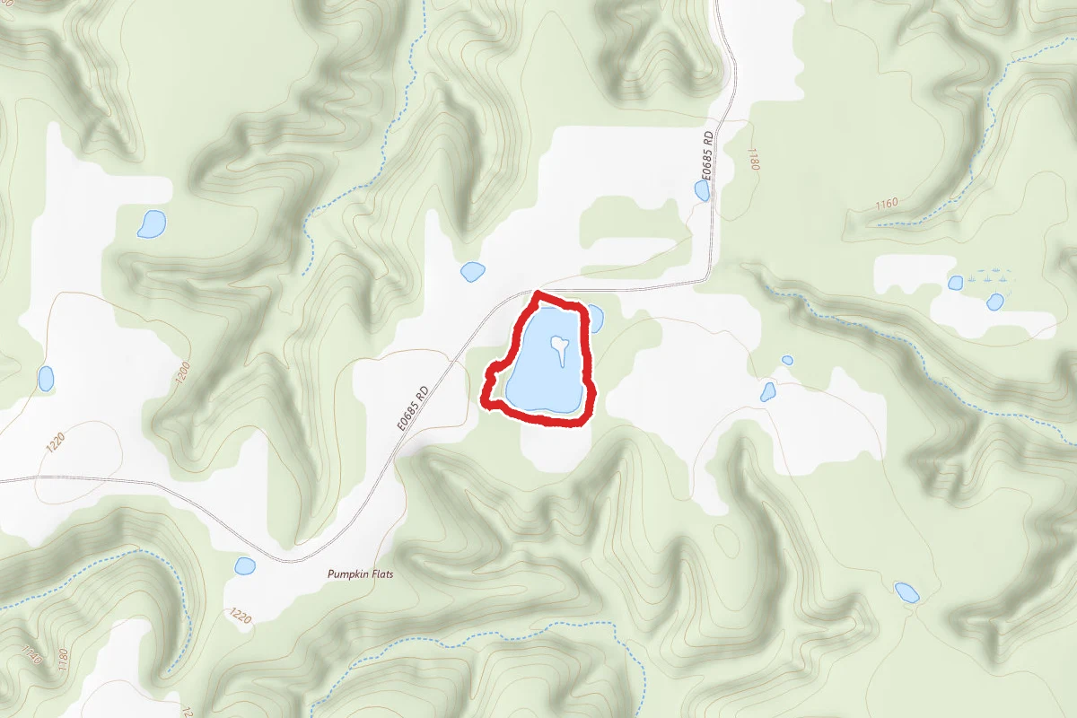 J.T. Nickel Family Nature and Wildlife Preserve Wetland Trail