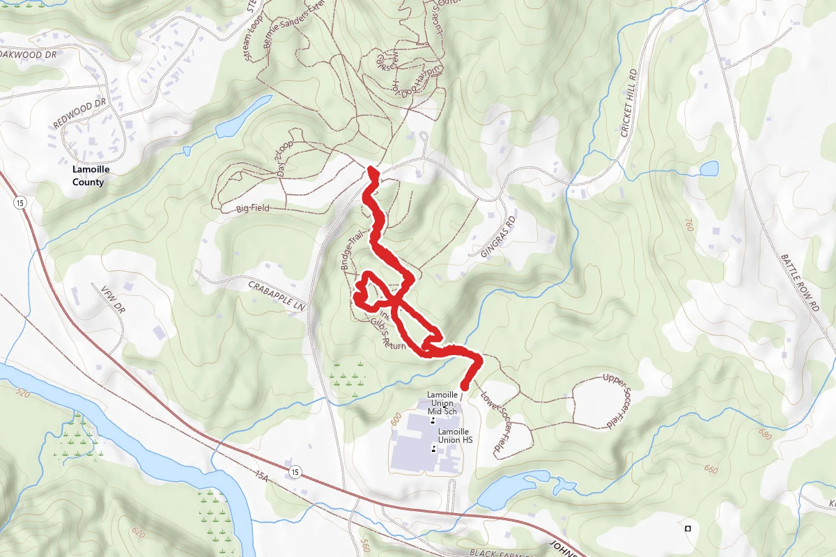 Megan's Loop