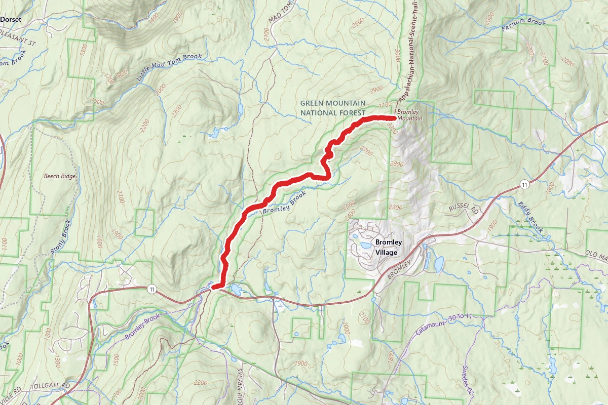 Bromley Mountain Via Long Trail (Appalachian Trail)