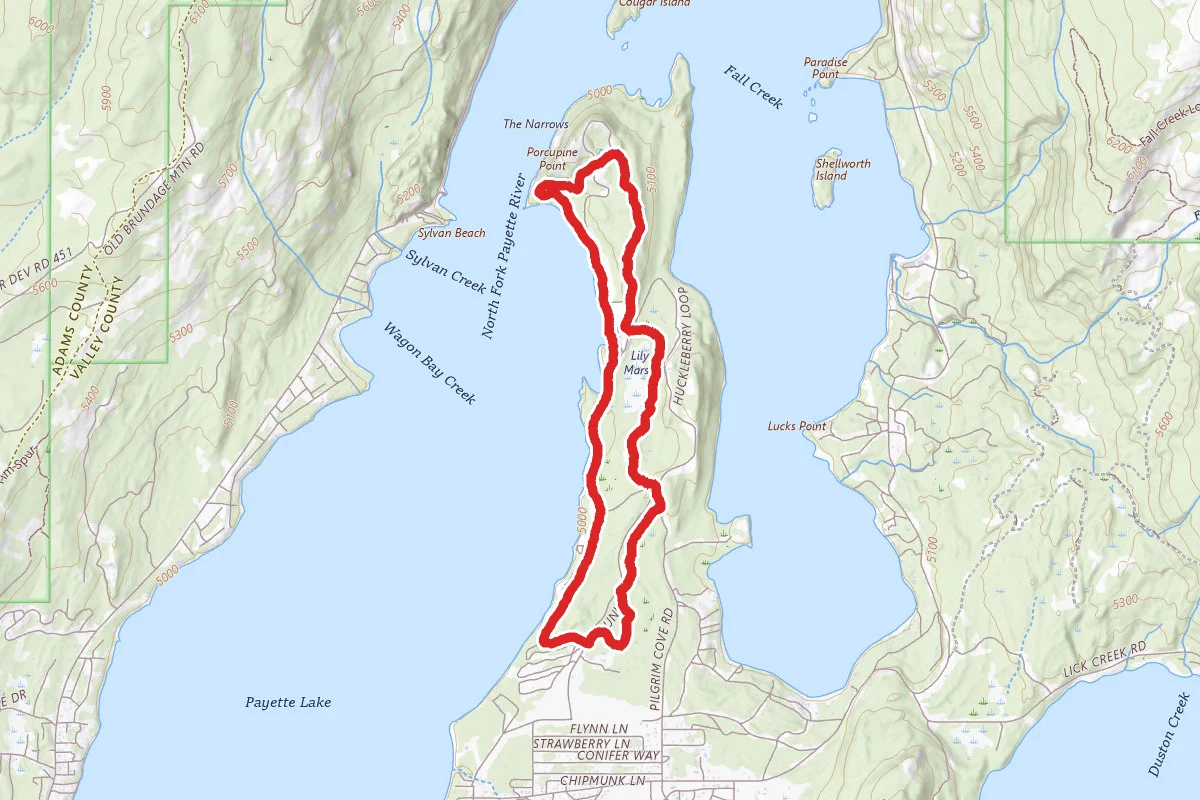 Meadow Marsh, Lily Marsh, Ridgeline, Huckleberry, and Peninsula Trails Loop